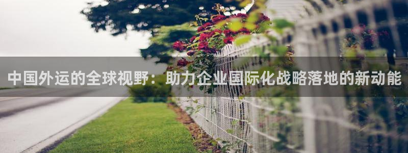 多多28分分28输了能不能退