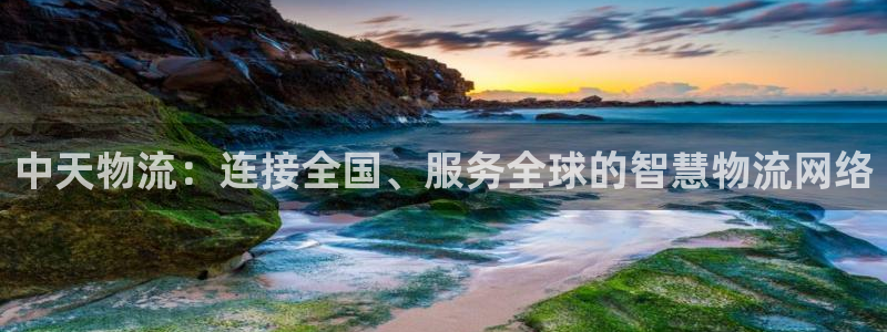 多多28机器人是什么软件：中天物流：