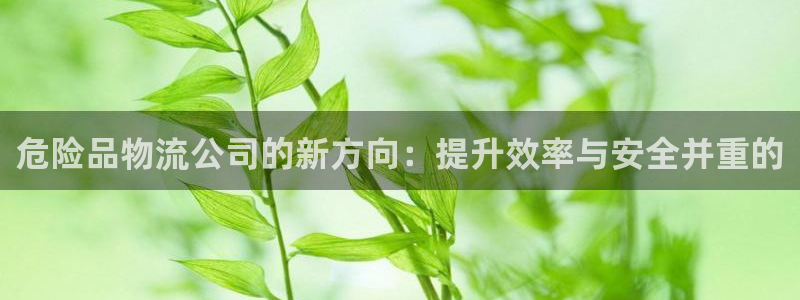 多多28辅助：危险品物流公司的新方向