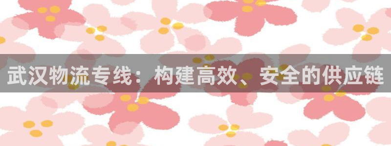 多多28加拿大是什么