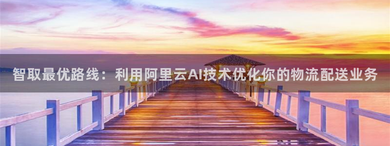 多多28可靠吗：智取最优路线：利用阿