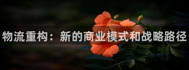 多多28哪个最赚钱：物流重构：新的商