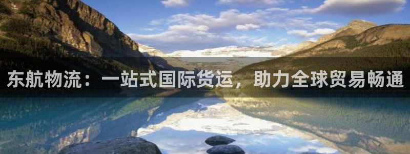 多多28怎么注册账号和密码：东航物流