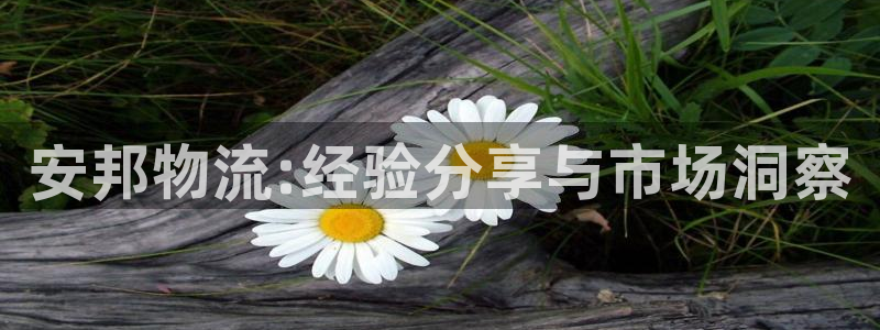 多多28网站平台是多少