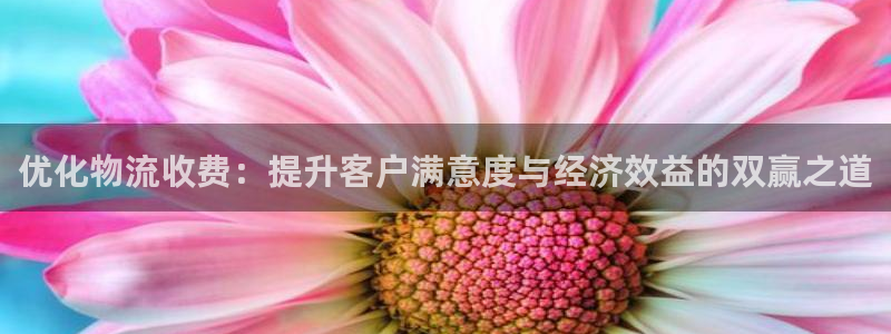 多多28推广链接是多少：优化物流收费
