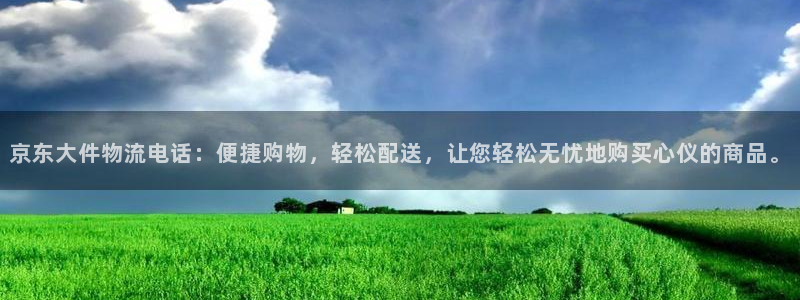 多多28官网入口pc预测：京东大件物