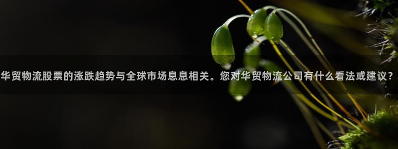 多多28吧：华贸物流股票的涨跌趋势与
