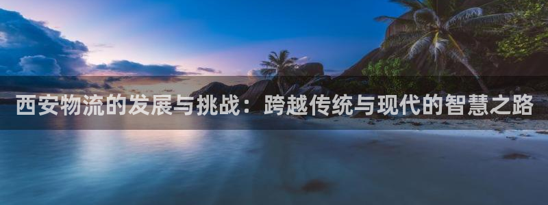 南宫多多28官网：西安物流的发展与挑战：跨越传统与现代的智慧