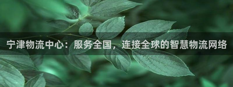 多多28免费