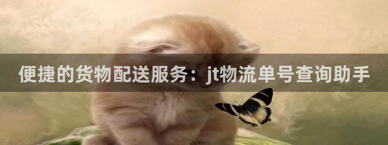 多多28分分28预测：便捷的货物配送