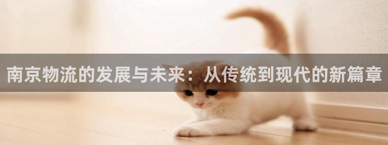 多多28登录不上咋回事：南京物流的发展与未来：从传统到现代的