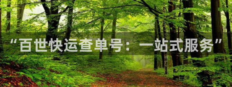 多多28黑吗：“百世快运查单号：一站