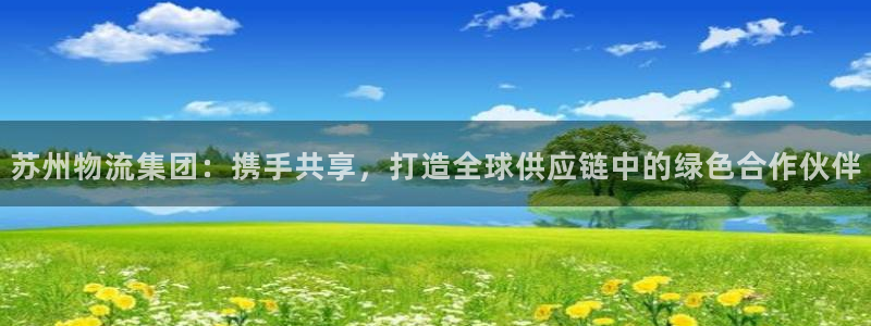 多多28反水什么时候到：苏州物流集团：携手共享，打造全球供应