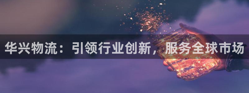 多多28里的财神:华兴物流:引领行业