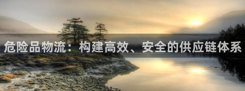 多多28官网版所有版本:危险品物流: