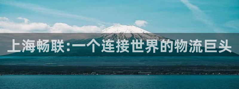 多多28官方网站预测：上海畅联:一个连接世界的物流巨头