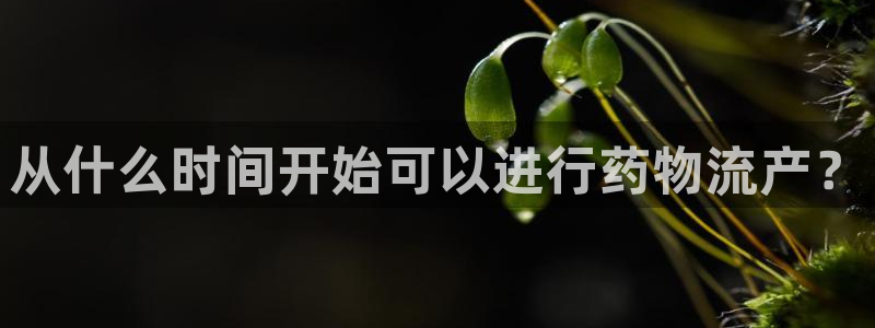 多多28麻将胡了:从什么时间开始可以