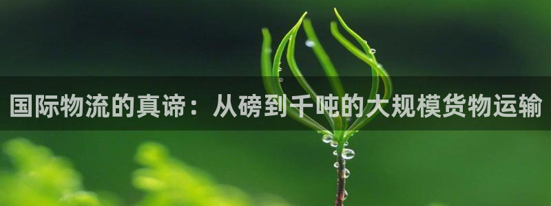 多多28加拿大能提现吗：国际物流的真