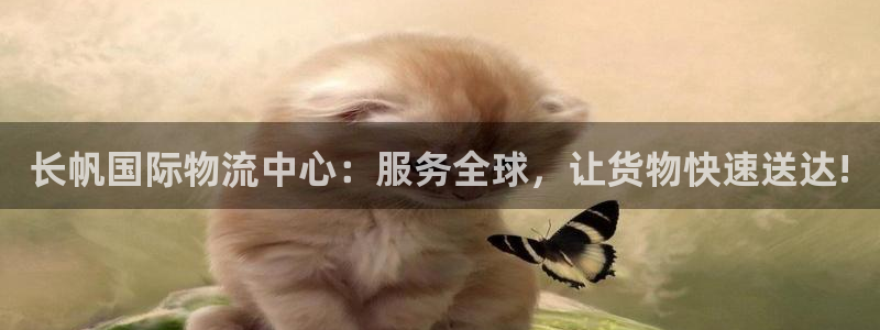 多多28赌博软件正规吗：长帆国际物流