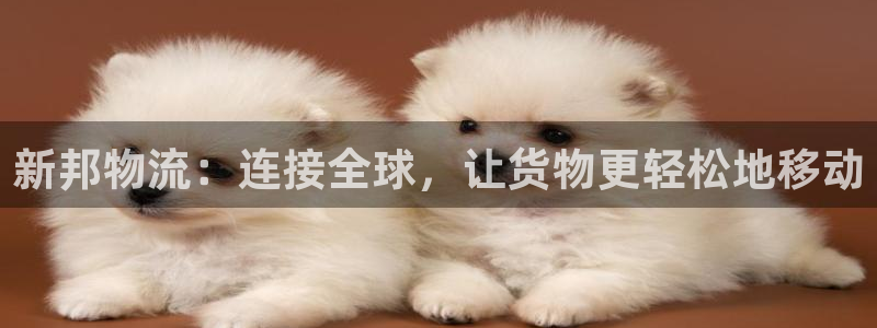 多多28app怎么注册账号:新邦物流