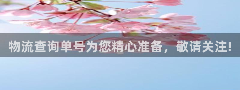 多多28下载二维码：物流查询单号为您