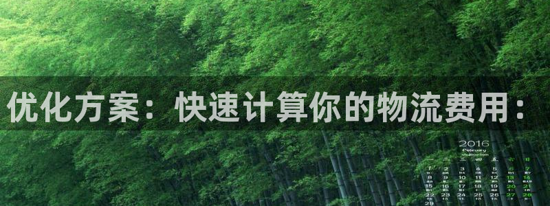 多多28辅助：优化方案：快速计算你的