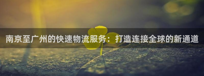 多多28官网平台:南京至广州的快速物