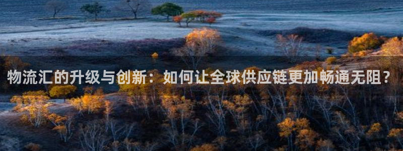 多多28口:物流汇的升级与创新:如何