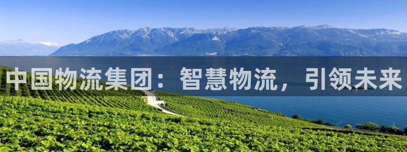 多多28为什么打不开:中国物流集团: