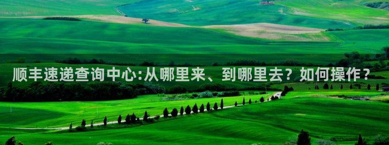 多多28可靠吗：顺丰速递查询中心:从哪里来、到哪里去？如何操