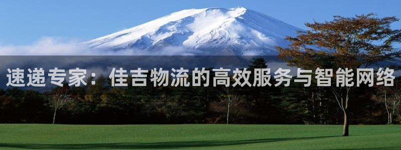 自行车多多28是什么意思：速递专家：佳吉物流的高效服务与智能